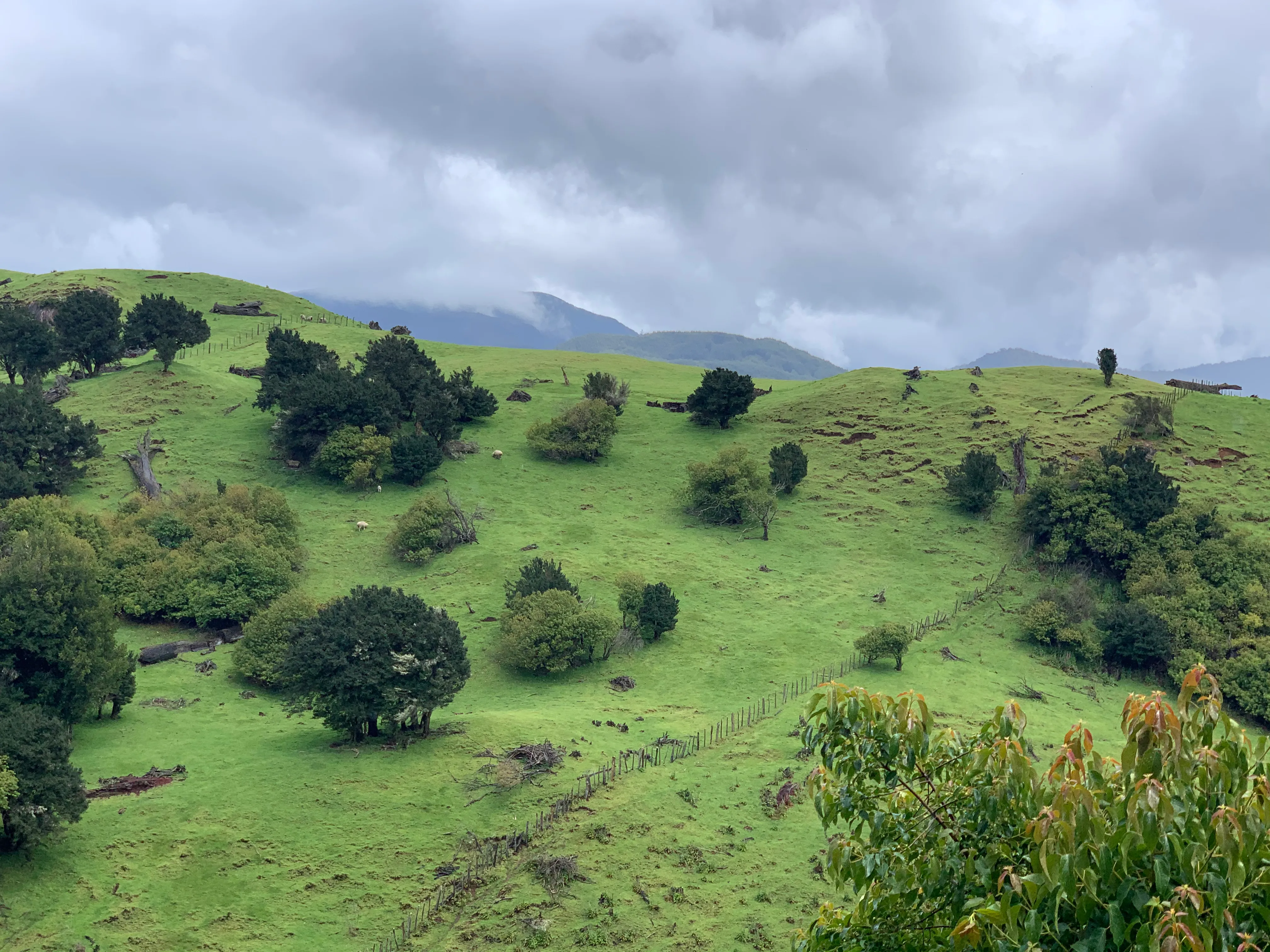 Valle Lagunas y río Quetro en los alrededores de Mirador de Quetro